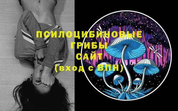 а пвп мука Богородск