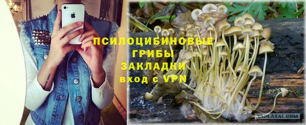 а пвп мука Богородск