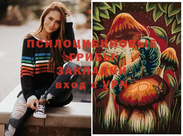 а пвп мука Богородск